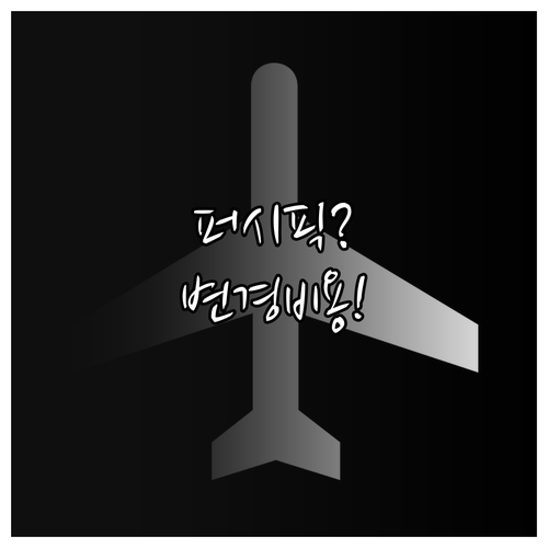 세부퍼시픽 좌석 변경 방법 및 비용 ..