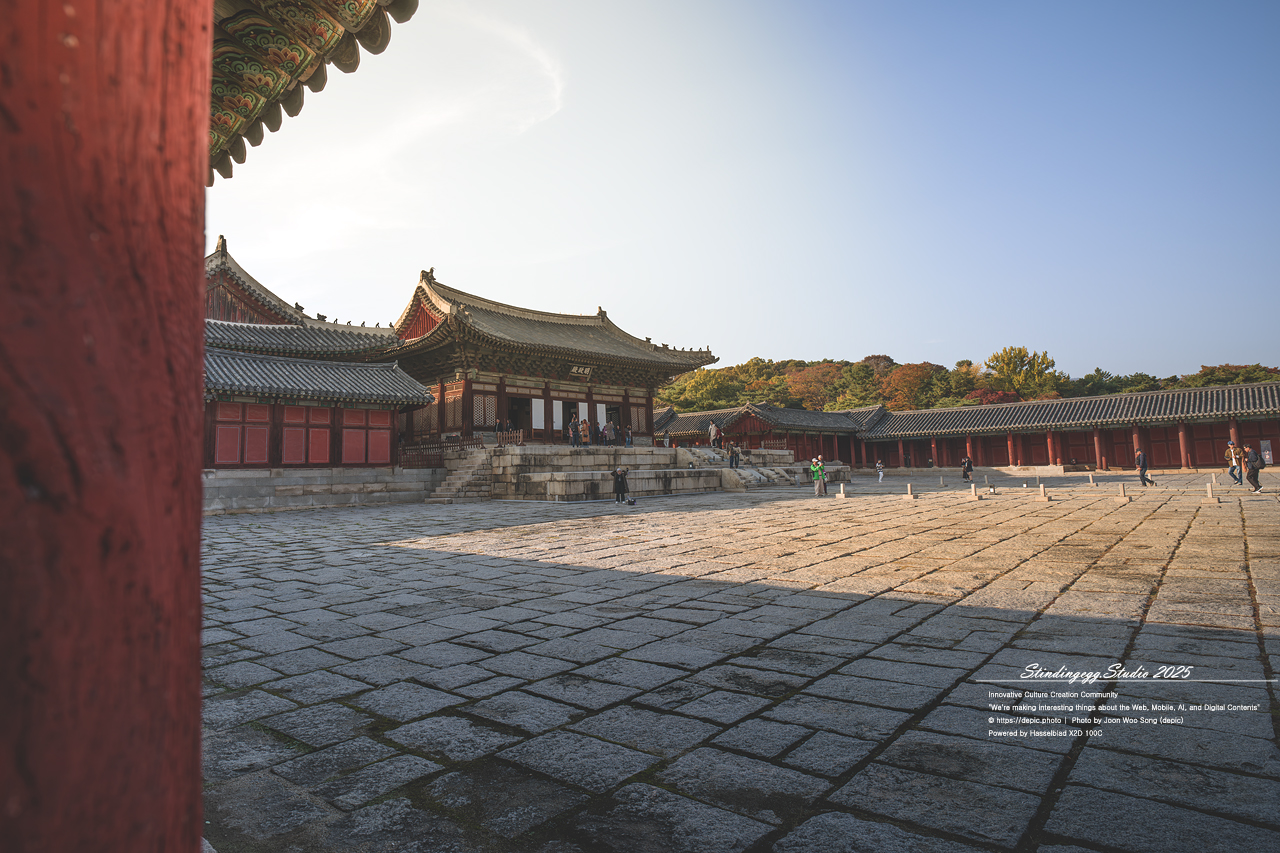 #서울 #창경궁 #궁궐 #조선 #왕