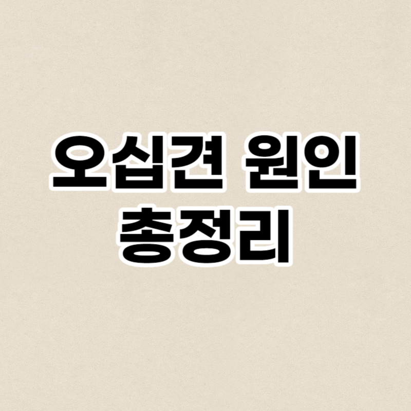 오십견 원인 총정리