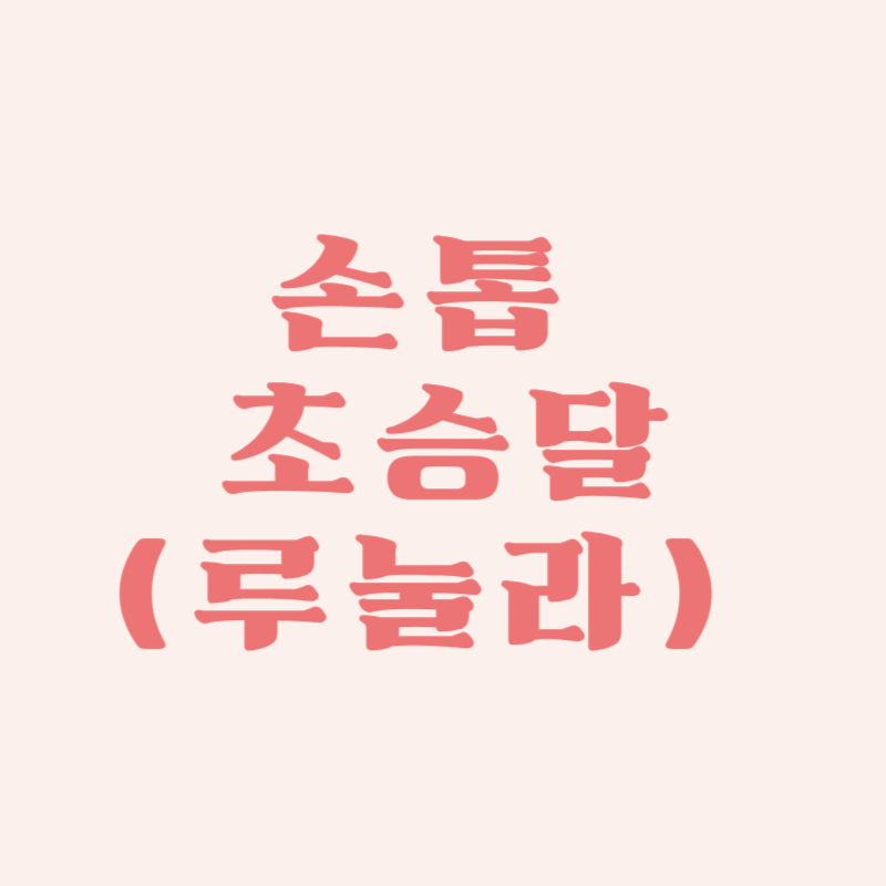 손톱의 초승달(루눌라)의 의미