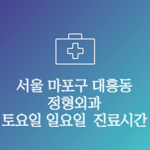 서울 마포구 대흥동 주말 토요일 일요일 문여는 병원 진료시간