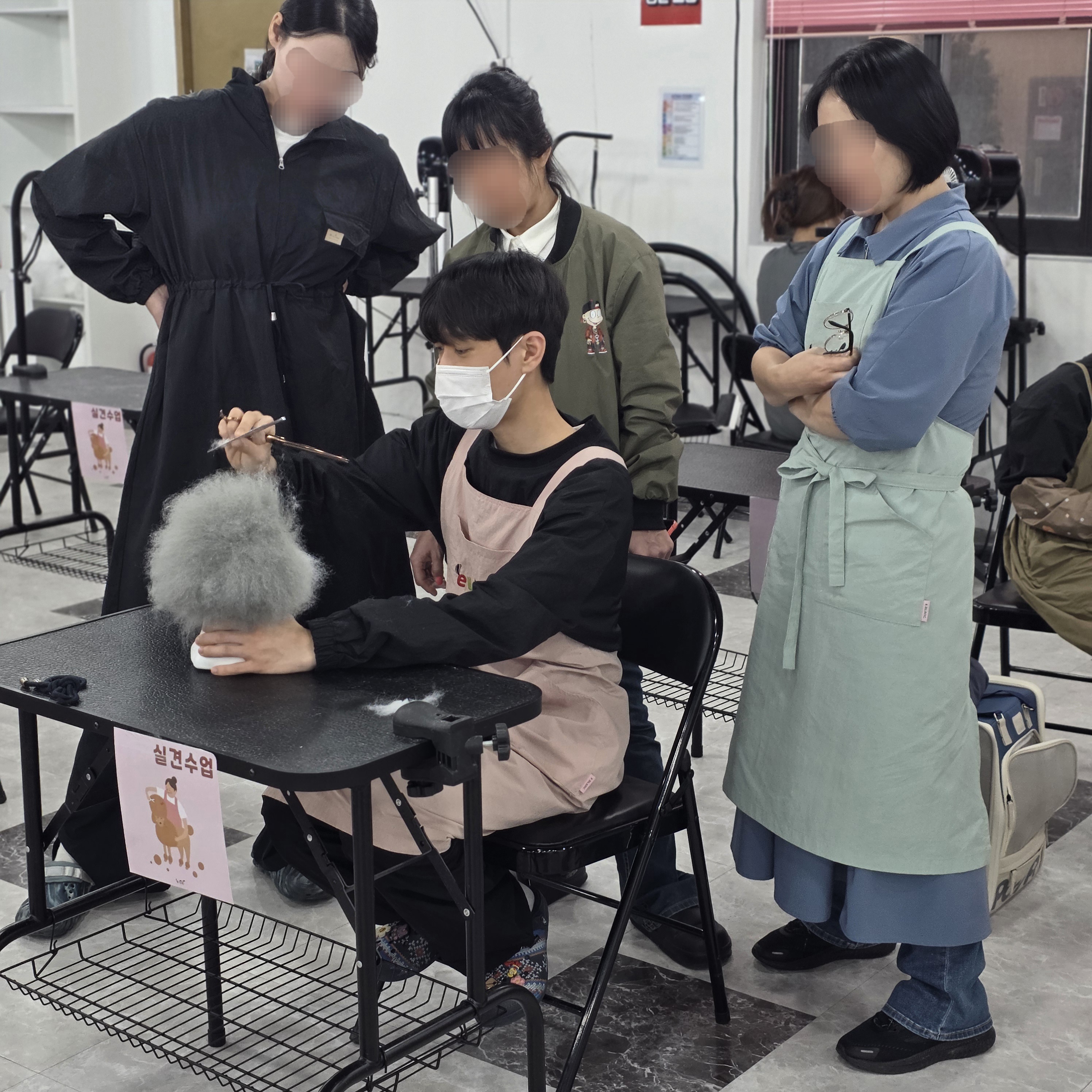 강동구애견미용학원