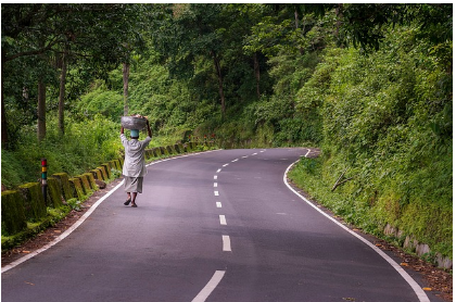 탈모치료 미녹시딜 vs 피나스테리드&amp;#44; 후기 중심 비교 리뷰