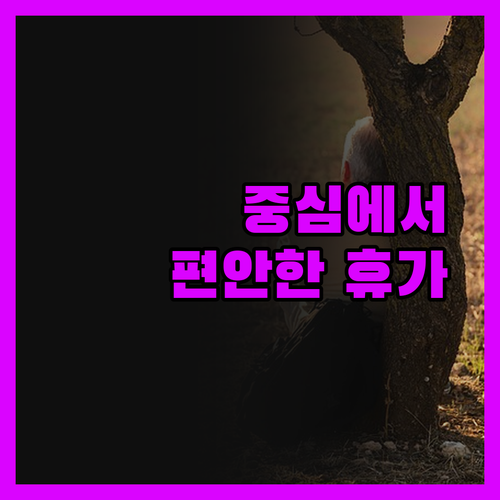 리아드 시디 망도울 중심에서의 편안한