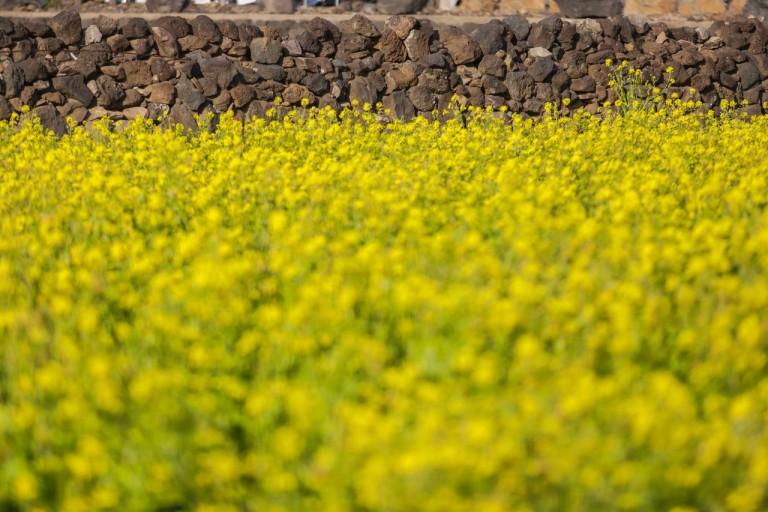 제주도 가볼 만한 곳 10곳