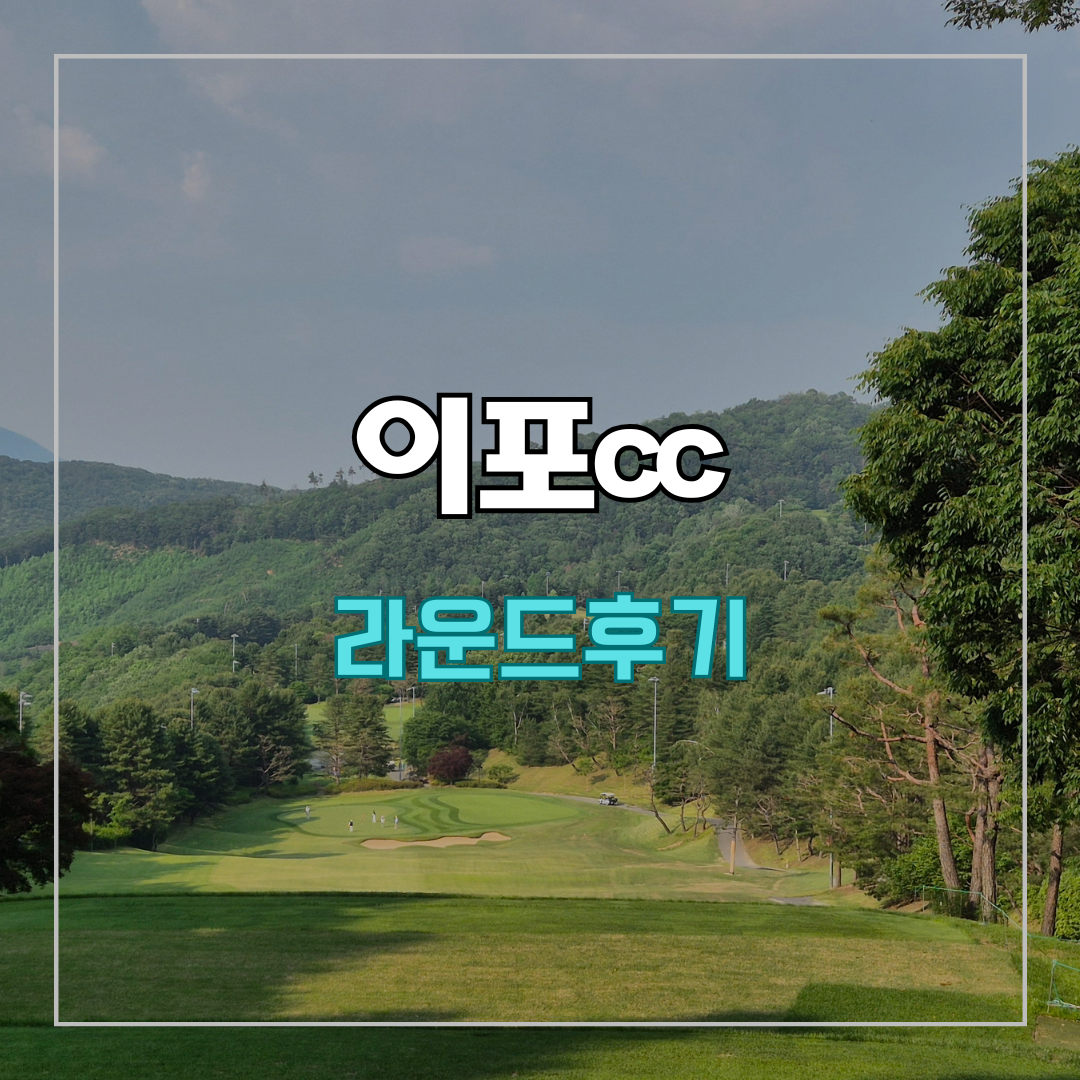 이포cc 라운드 후기