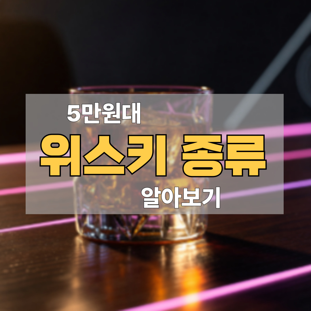 5만원대 위스키 종류 알아보기