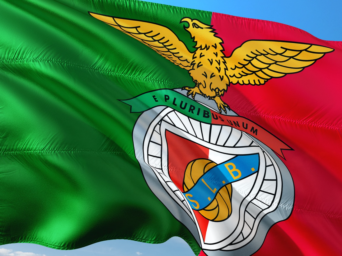 벤피카 구단 마크