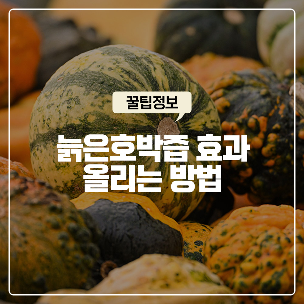 늙은호박즙 효과 100퍼센트 올리는 방법 지용성 베타카로틴 흡수율 극대화 공식