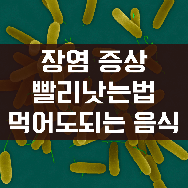장염증상 먹어도되는 음식