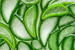 검버섯-없애는-방법