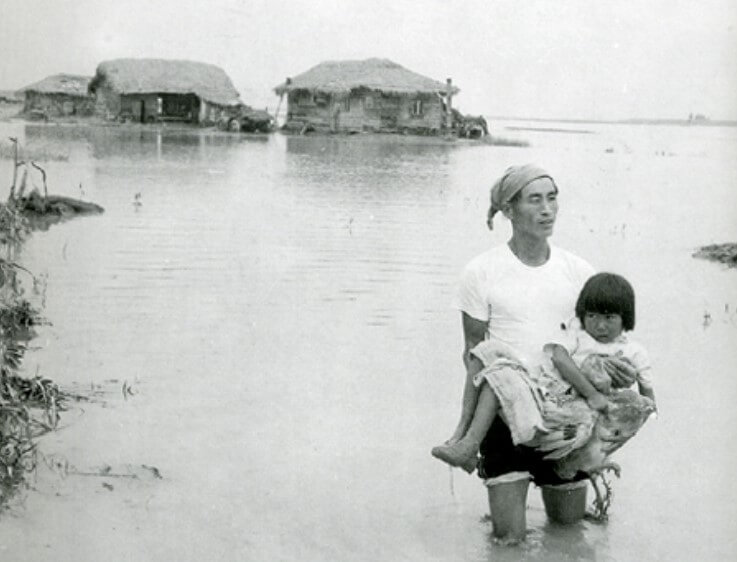 대한민국 태풍사라 피해