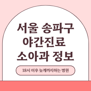 서울 송파구 야간진료 소아과 병원 (18시 이후 늦게까지하는 병원)