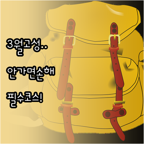 강원도 고성 및 경남 고성 3월 가볼..