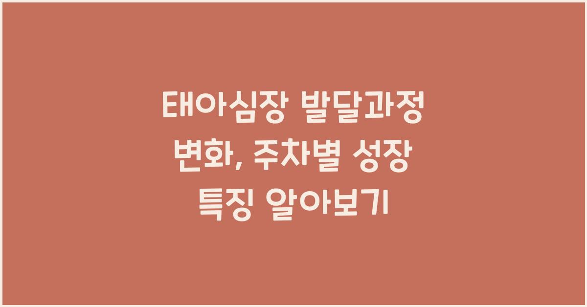 태아심장, 발달과정 변화