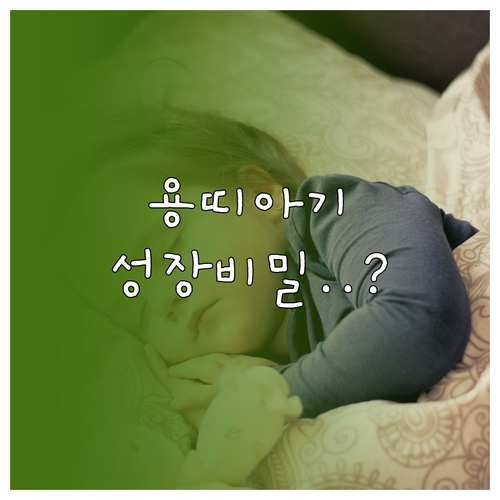 2024년생 용띠 아기 병오년 4월 ..