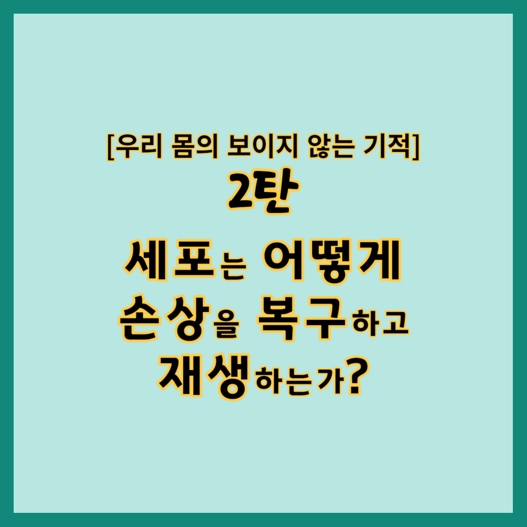 우리 몸의 보이지 않는 기적 2탄 세포는 어떻게 손상을 복구하고 재생하는가?, 세포 손상의 원인과 종류, 세포 재생의 메커니즘과 요소, 세포 재생의 한계와 가능성
