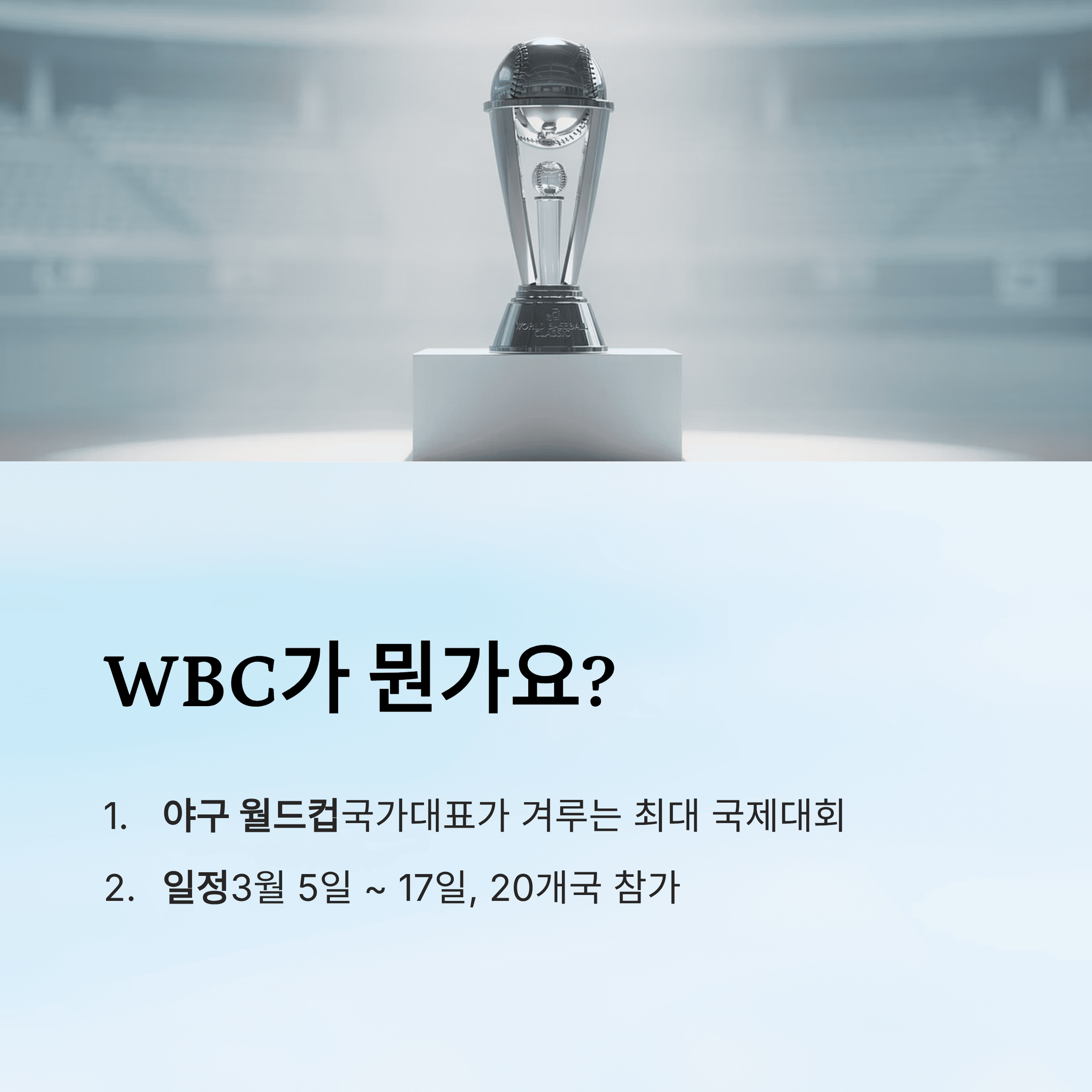 WBC 야구, 지금 왜 이렇게 뜨거운지 한 번에 정리