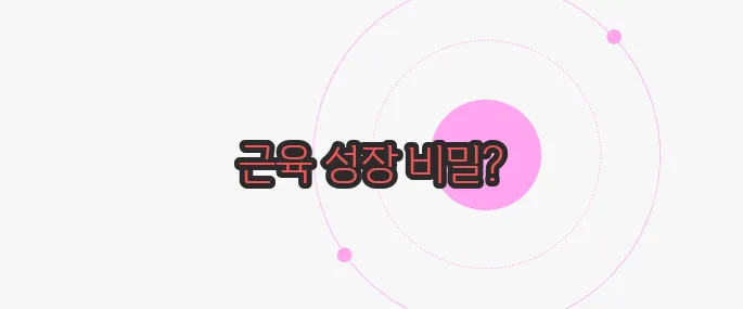 근육량 늘리는 방법 궁금한 점, 풀어보죠