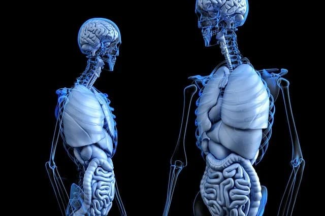 3D 프린터로 만든 음식, 건강에는 어떤 영향을 미칠까?