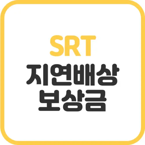 SRT-지연