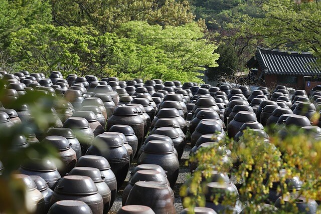 위암의 원인&amp;#44; 바로 우리 일상 속에 있다