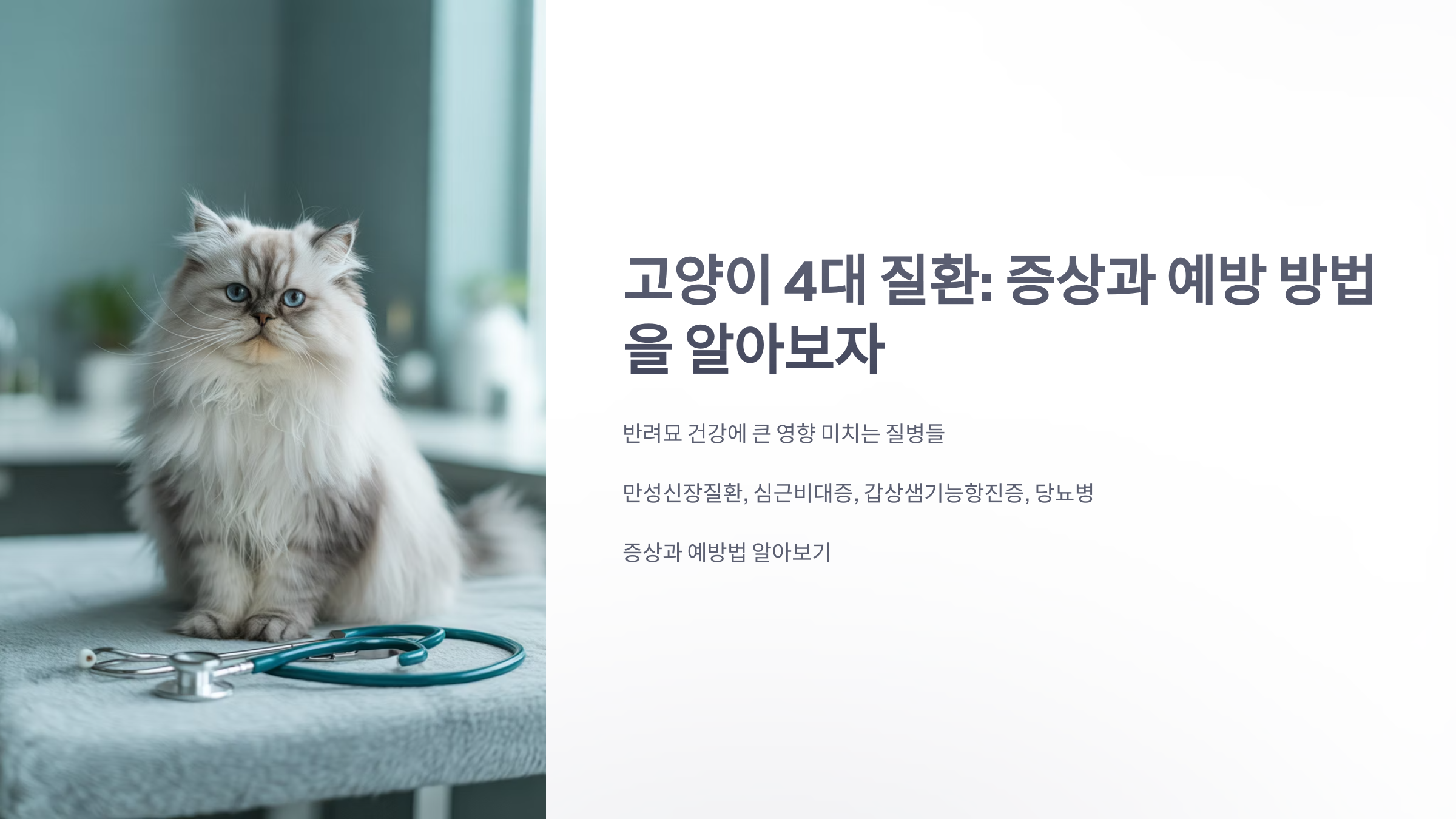 참조-고양이-4대-질환-1
