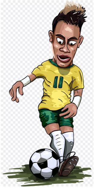 브라질 축구 리그 사진