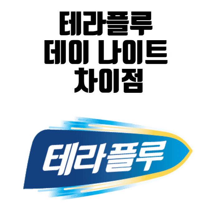 테라플루 데이 나이트 차이점