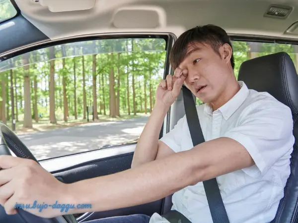 운전자보험 보장확인 체크리스트