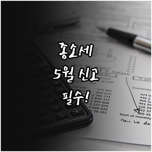 초보 블로거를 위한 종합소득세 신고 ..