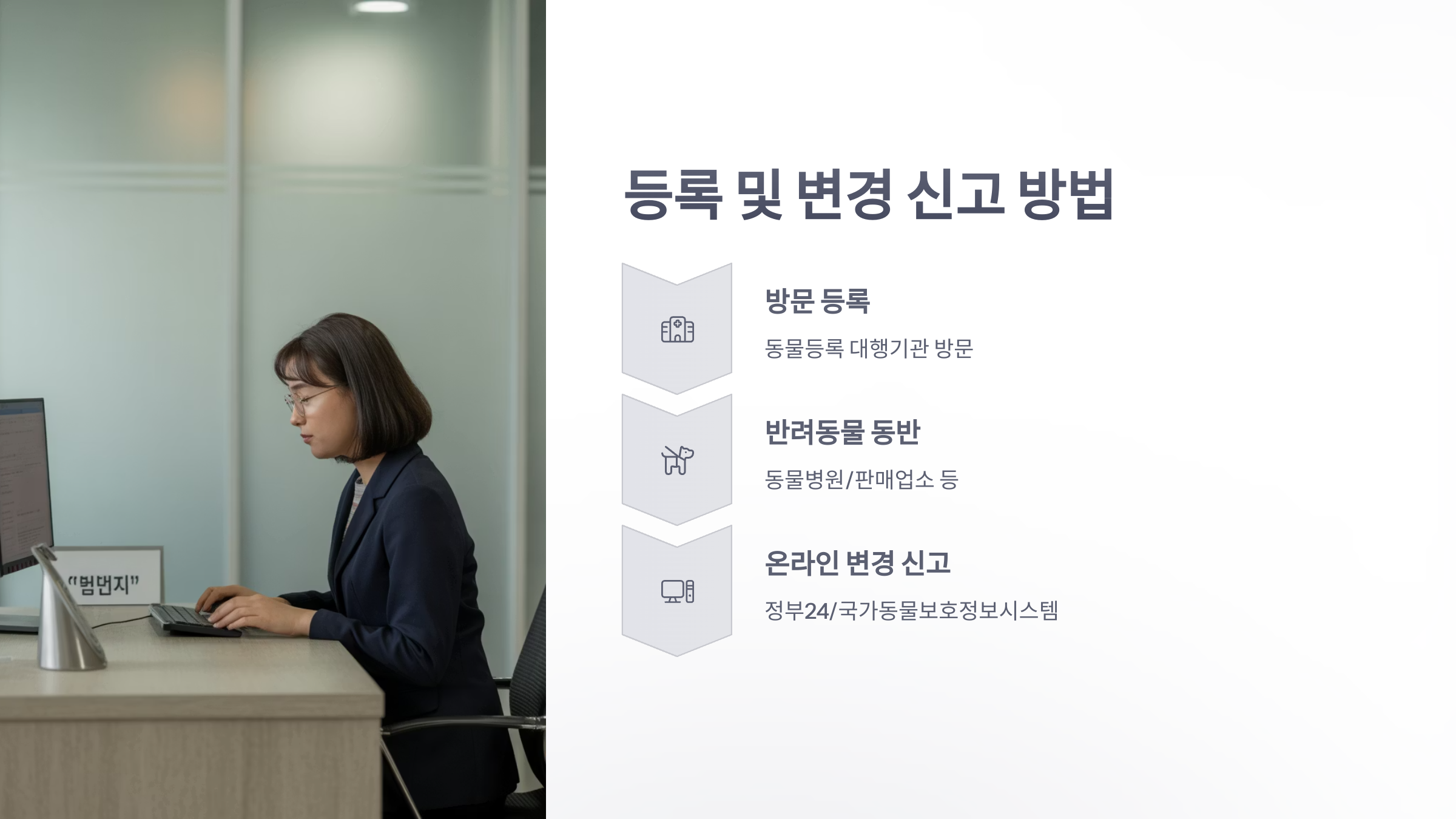 참조-반려동물-자진신고-4