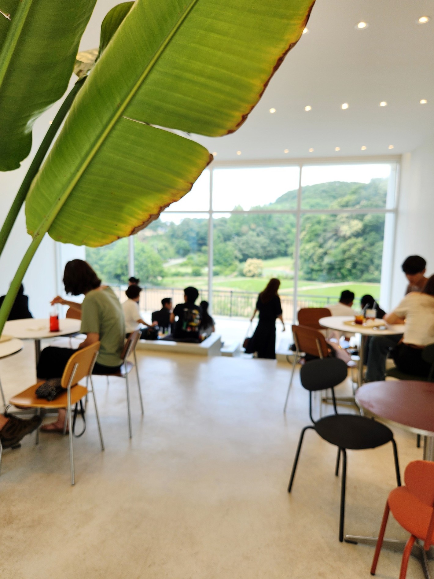 원주 지정면 감성카페 ‘모멘도르