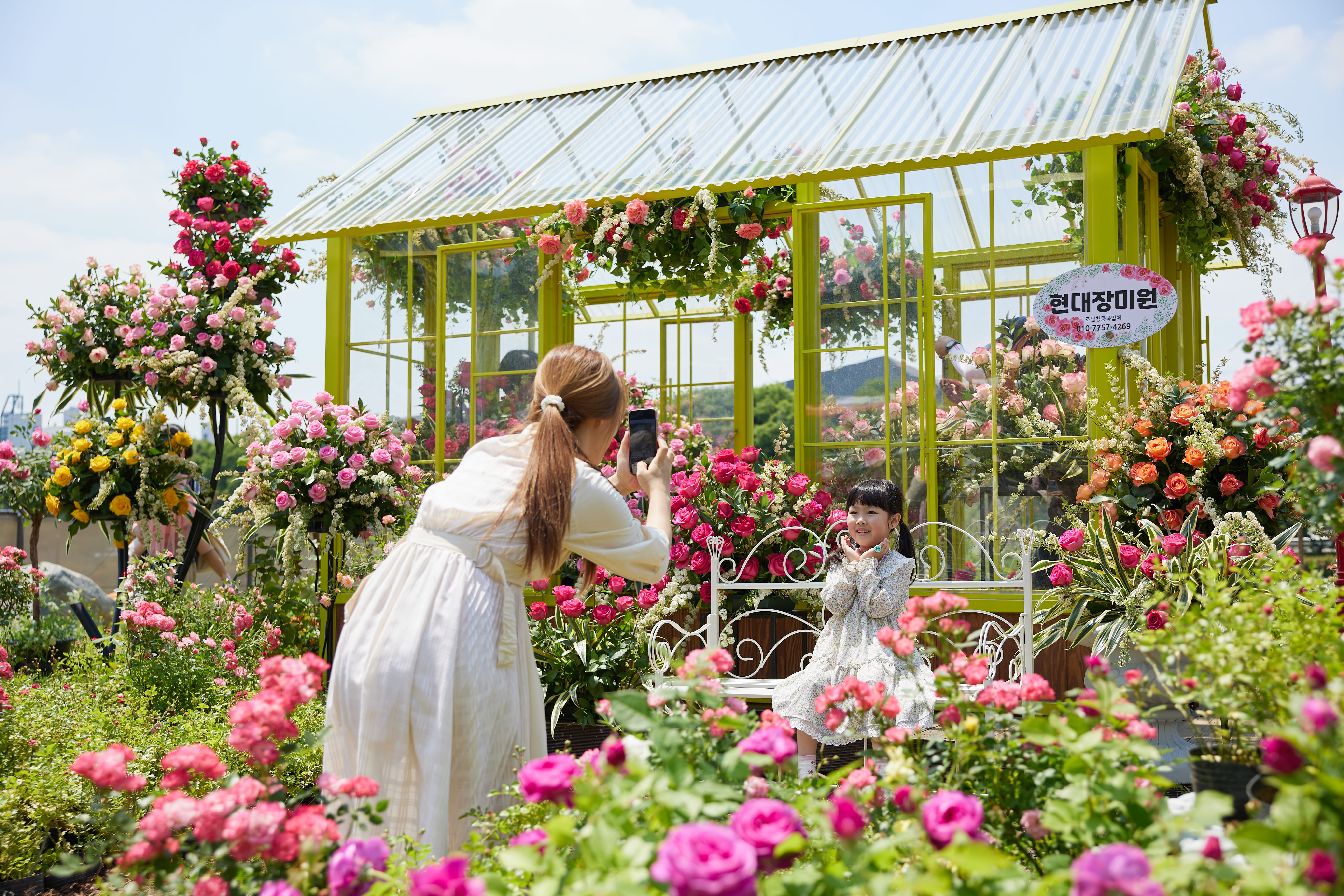 [5월 축제]2025 중랑 서울장미축제❘기간, 일정 및 프로그램, 공연 상세 시간표 정리