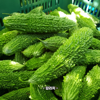 여주란