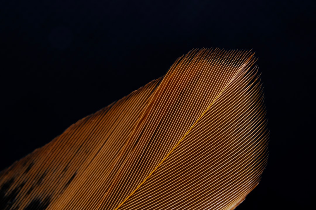 Wing body