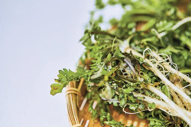 냉이 된장국 끓이는 법