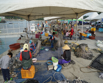 무창포 대하 전어축제_3