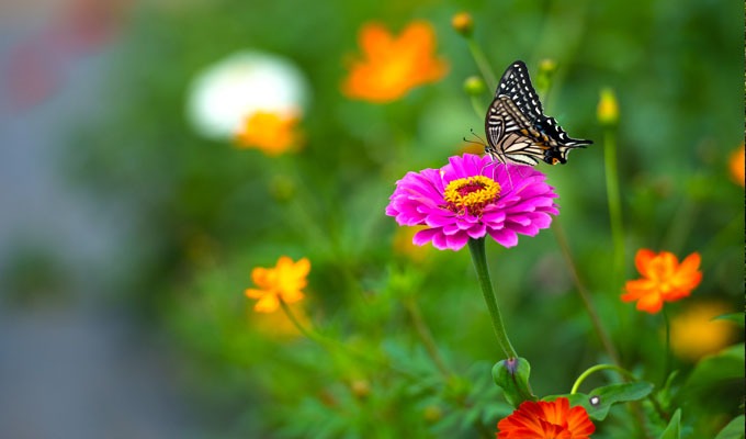 연천 제1땅굴 상승전망대 DMZ 안보관광