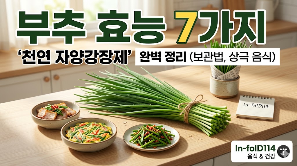 부추 효능