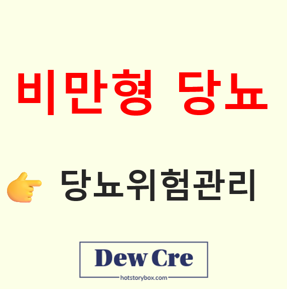 비만형 당뇨 위험요인과 체중조절 핵심 전략