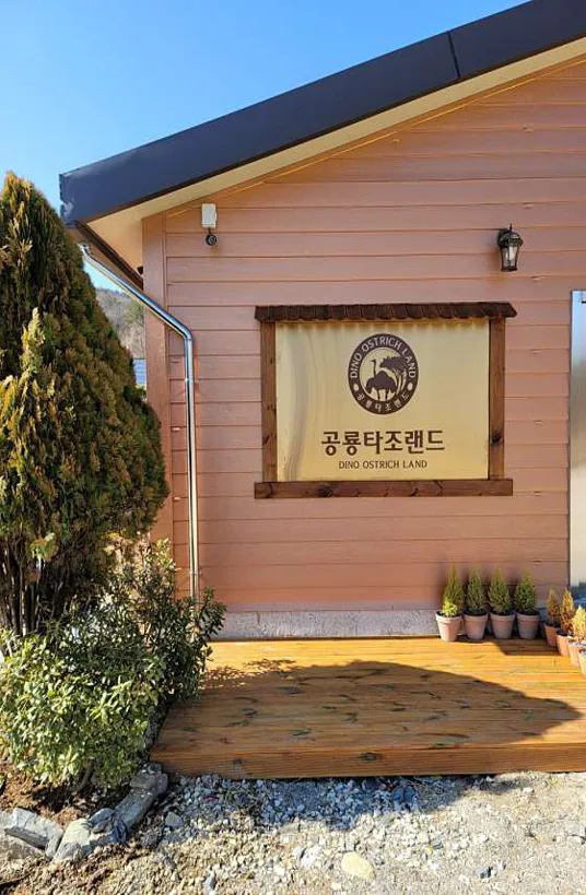 공룡타조랜드