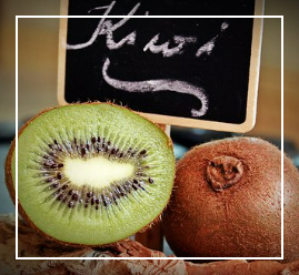 키위 효능
