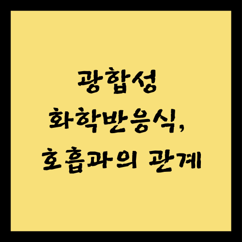 광합성 화학반응식, 호흡과의 관계