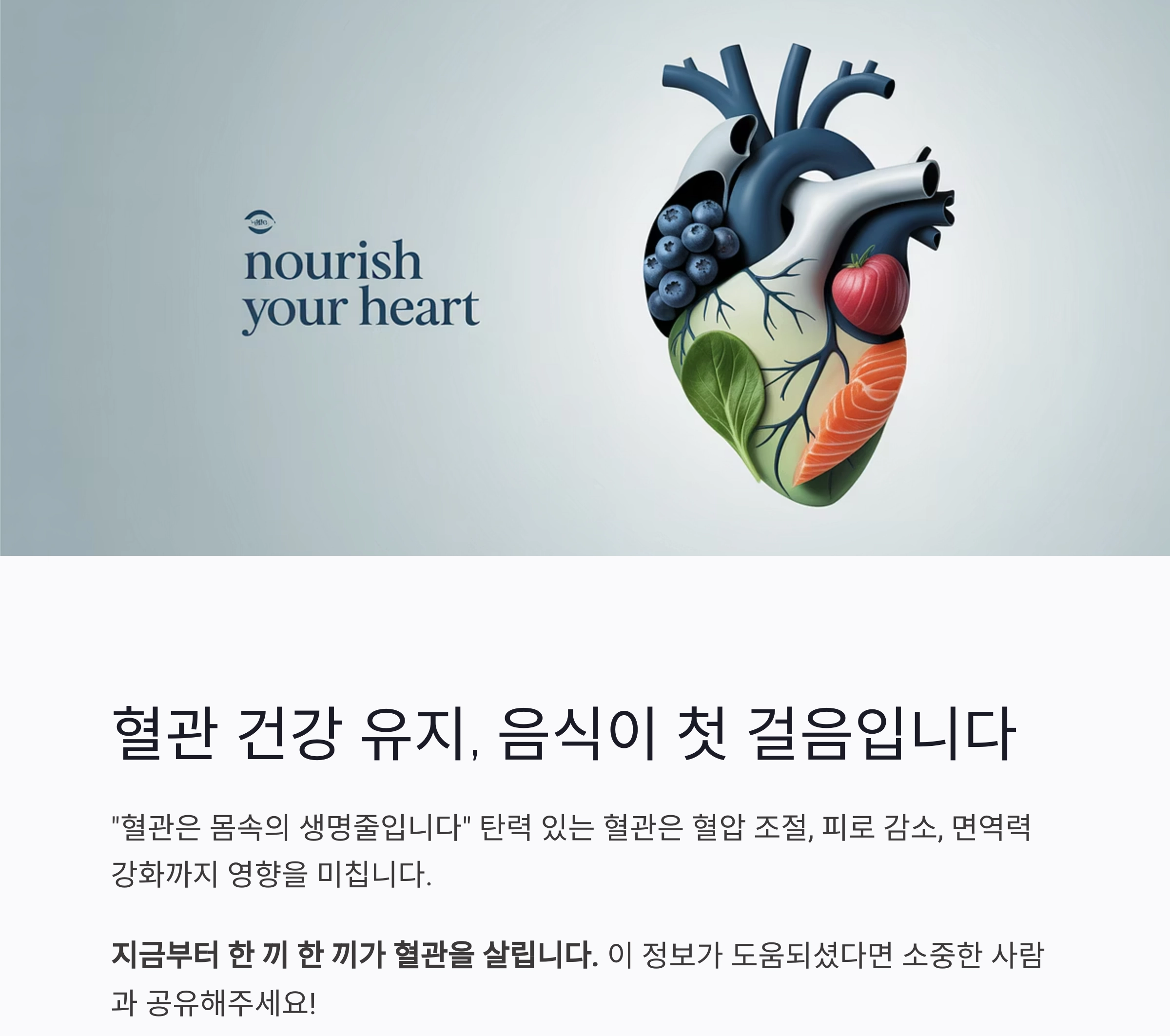 혈관 탄력 높이는 음식, 매일 챙기면 달라집니다