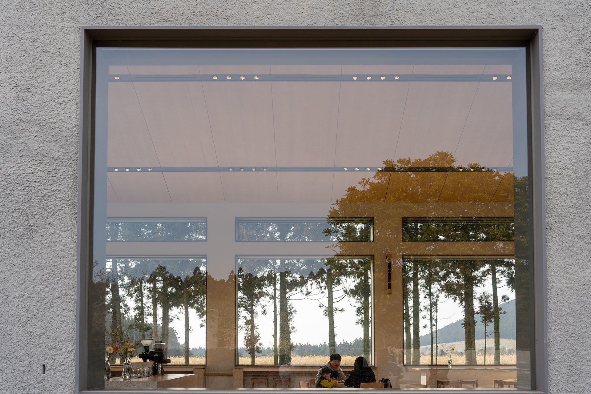 블루보틀 제주 카페