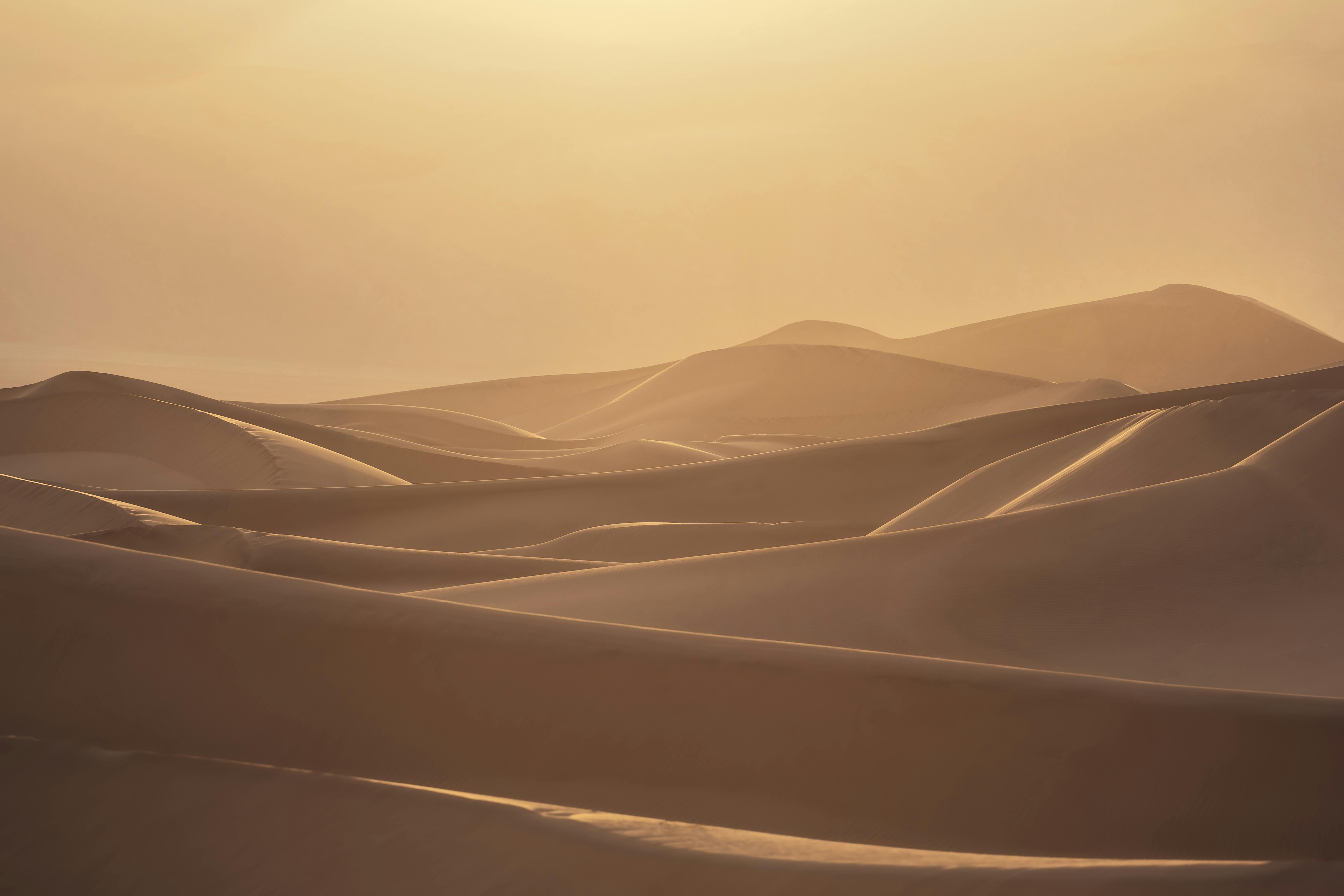 큰 화장실을 상징하는 이미지