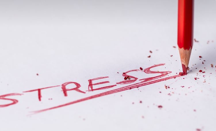 신혼부부 명절 스트레스