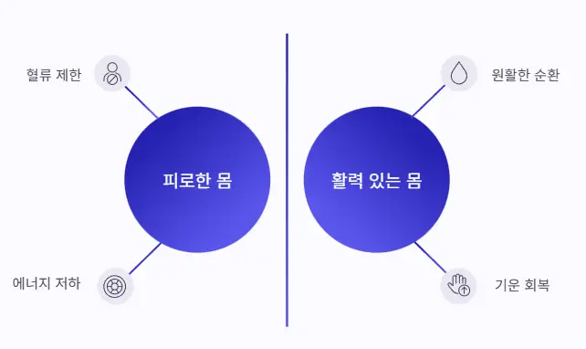 몸 활력