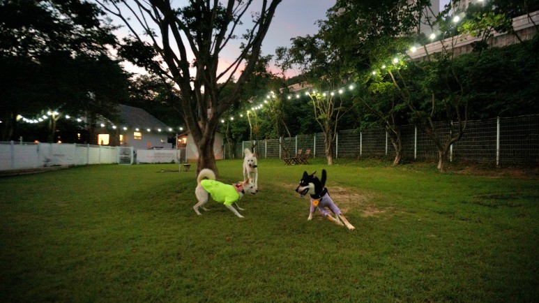 ๊ฐ๋ฆฐ์ด๋ค